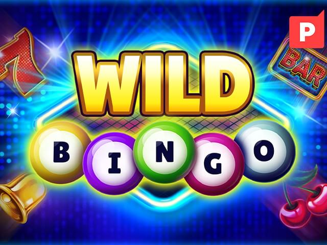 6161 bet Bingo Selvagem